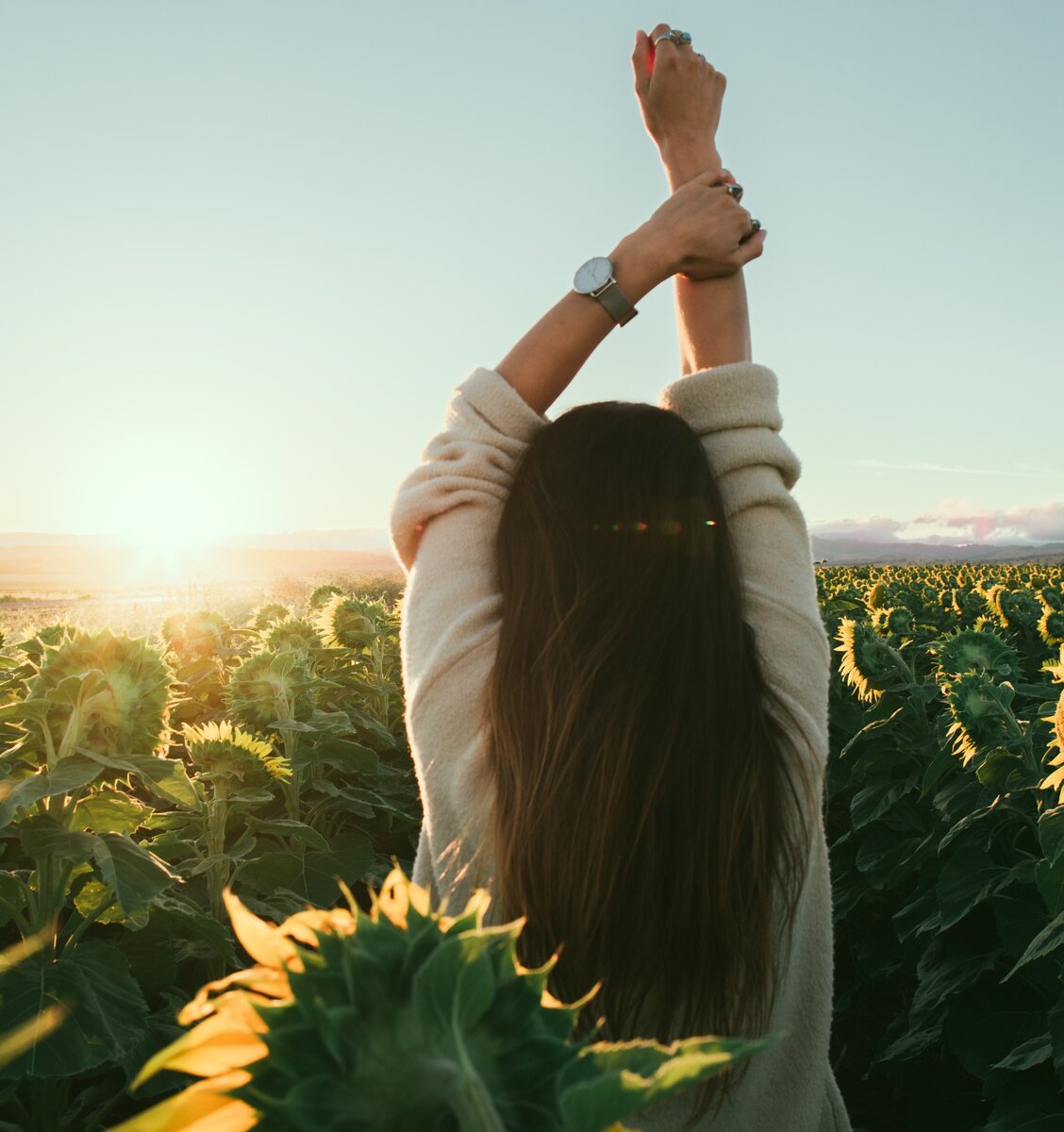 Photo by Rowan Chestnut on Unsplash