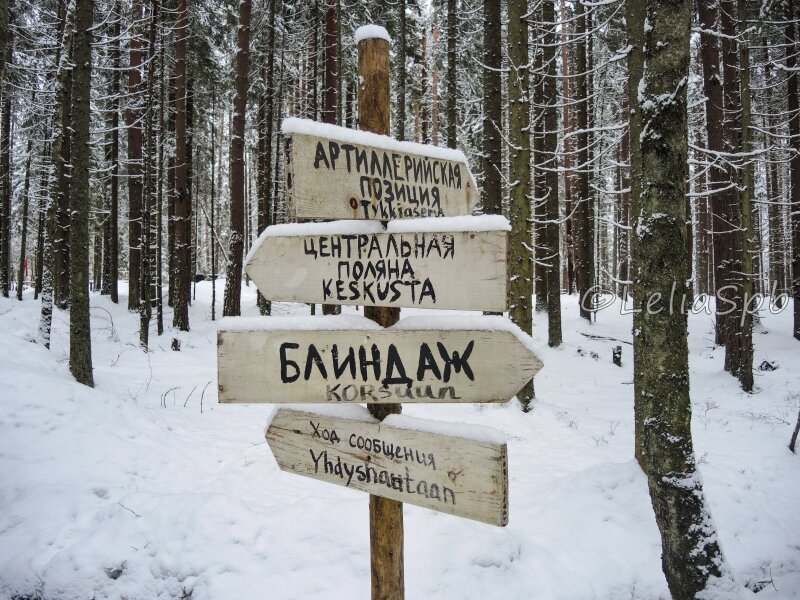 Тропы памяти