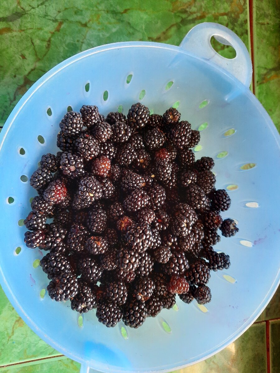 Настойки делали из любых ягод.