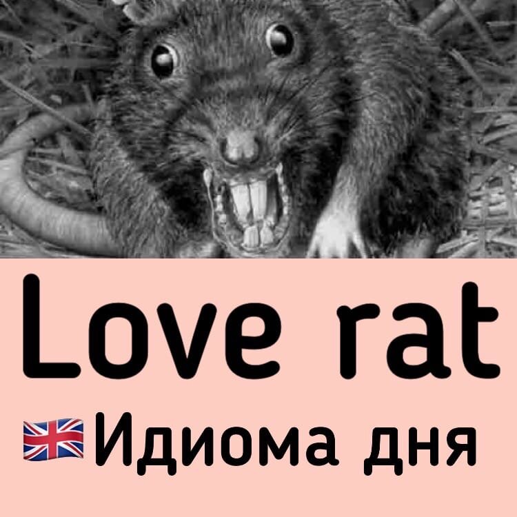 Уникальная картинка автора