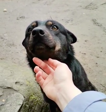 Ни дать, ни взять - мыслитель!