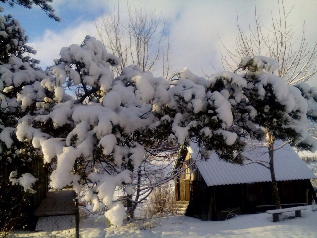 В деревнях Ленобласти в марте еще глухая зима. 