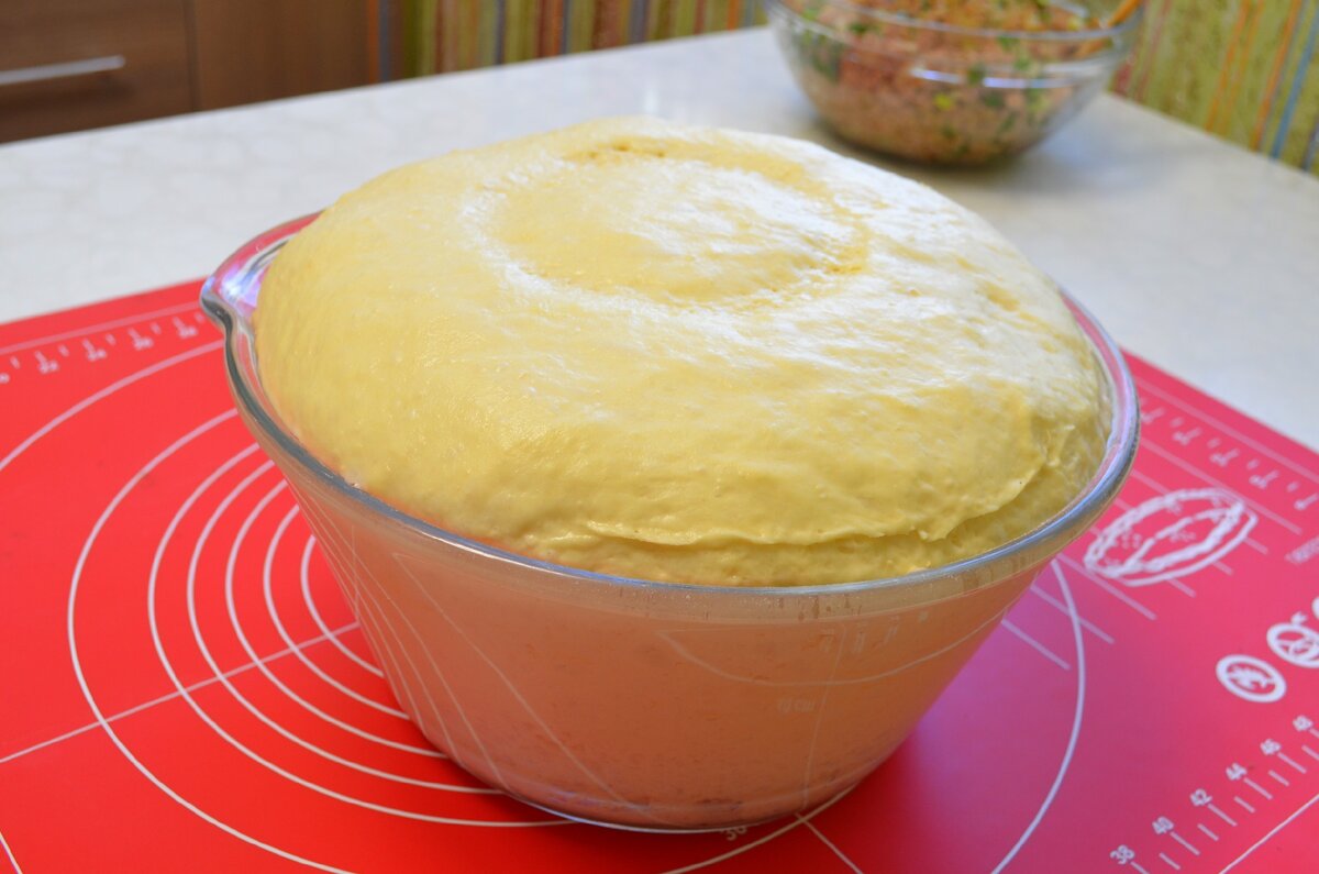 Тесто хорошо подходит и выпекать из него можно любую выпечку на ваш вкус