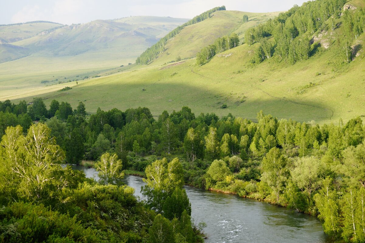 Гора Сапатая Алтайский край