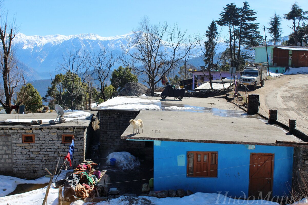 До свидания, Мунсьяри. Пока, собачка! Фото автора.