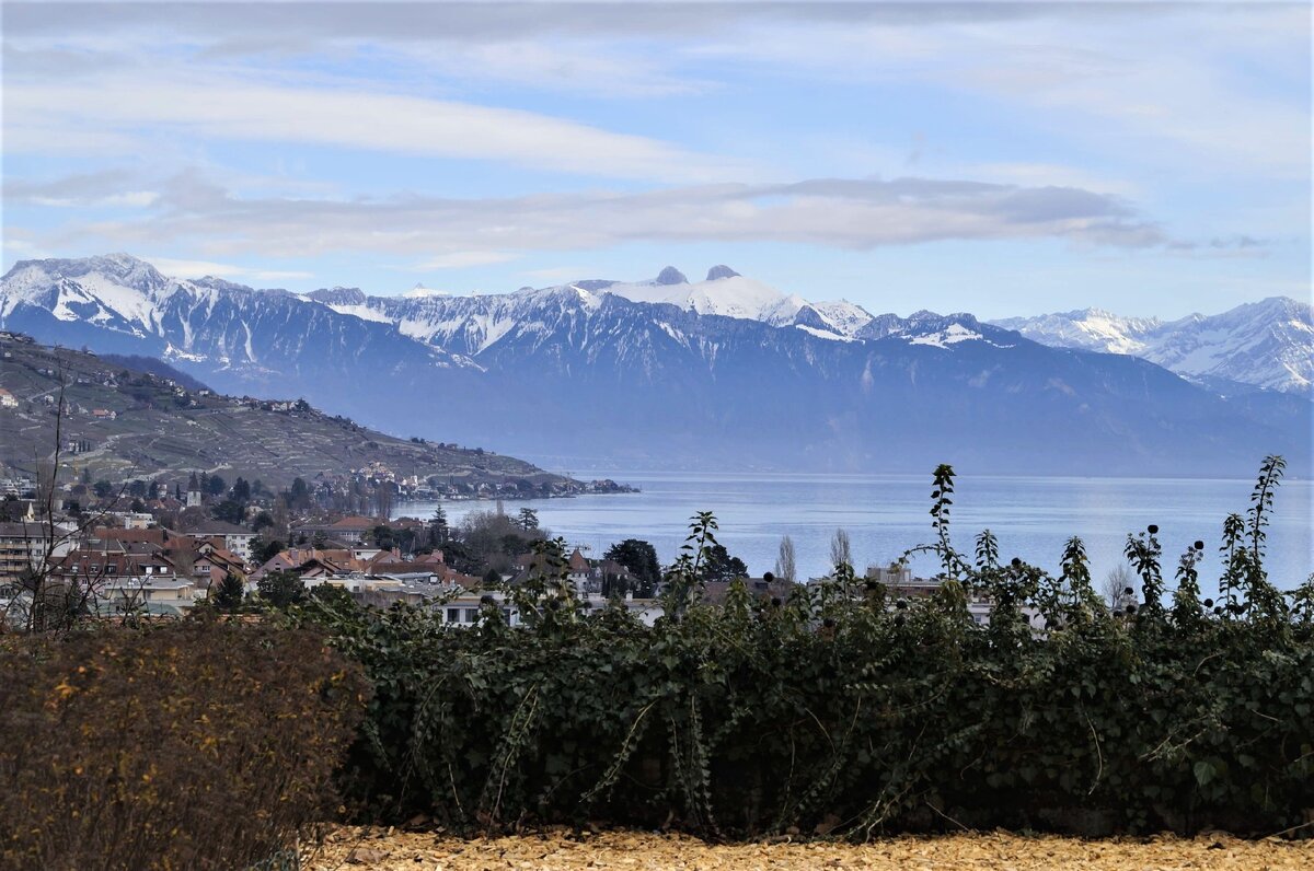Вид на Женевское озеро. Январь. Фото из собственного фотоархива