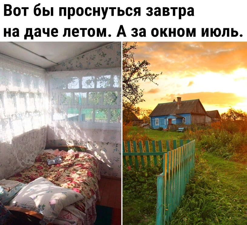Подборка приколов и классных видосов для позитива!