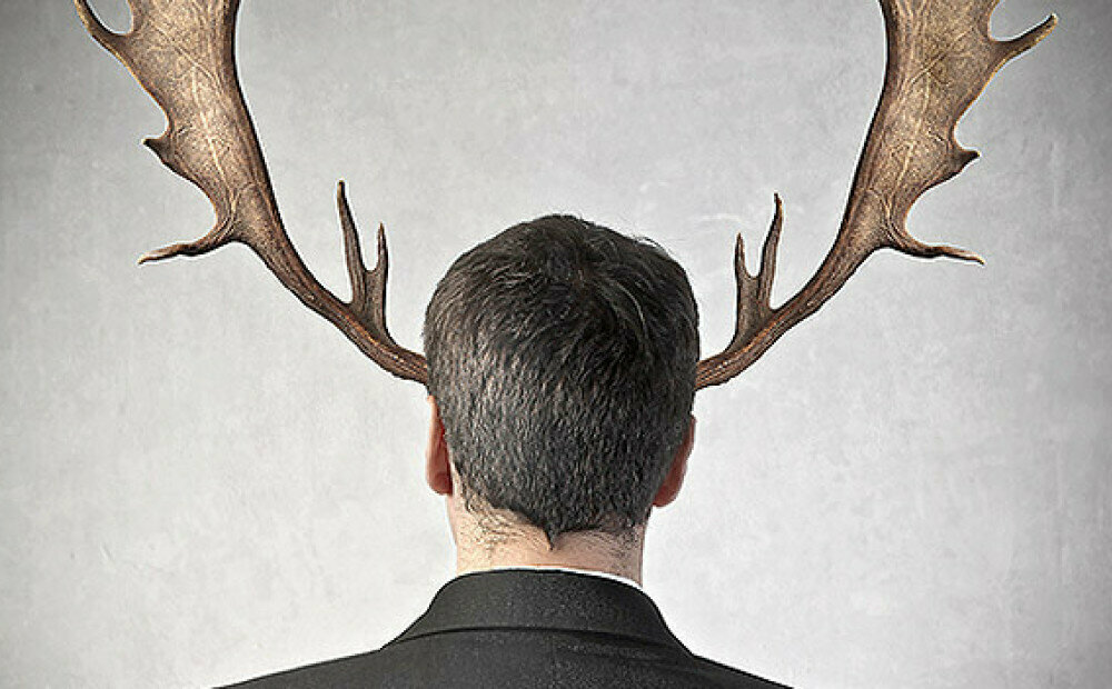 Изображение взято из Интернета