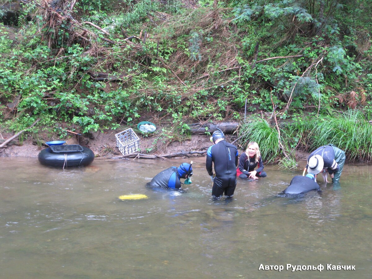 Как мы нашли золото в Австралии. Сколько денег заплатили за это путешествий и окупится ли оно? Читайте далее ...