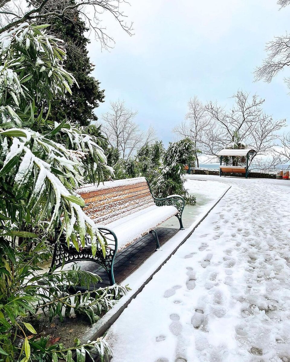 Центр Сочи в редком снеге (фото из инстаграм @dyninadaria)