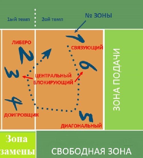 Как называются игроки в волейболе отмеченные на картинке