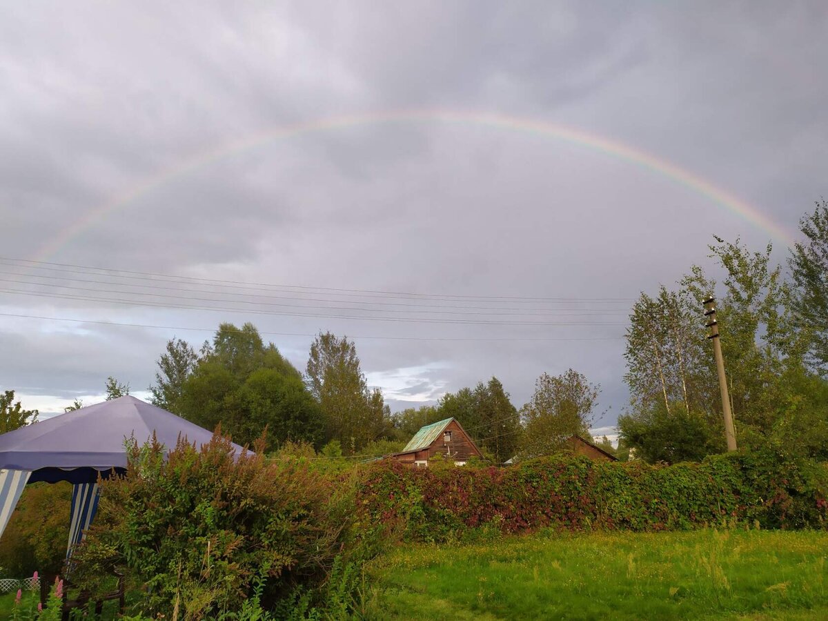 авторское фото