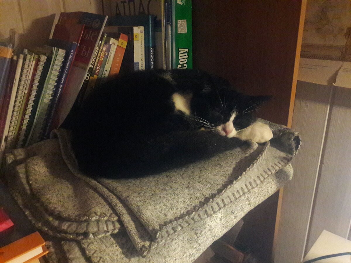 Слаще всего спится там, где нельзя