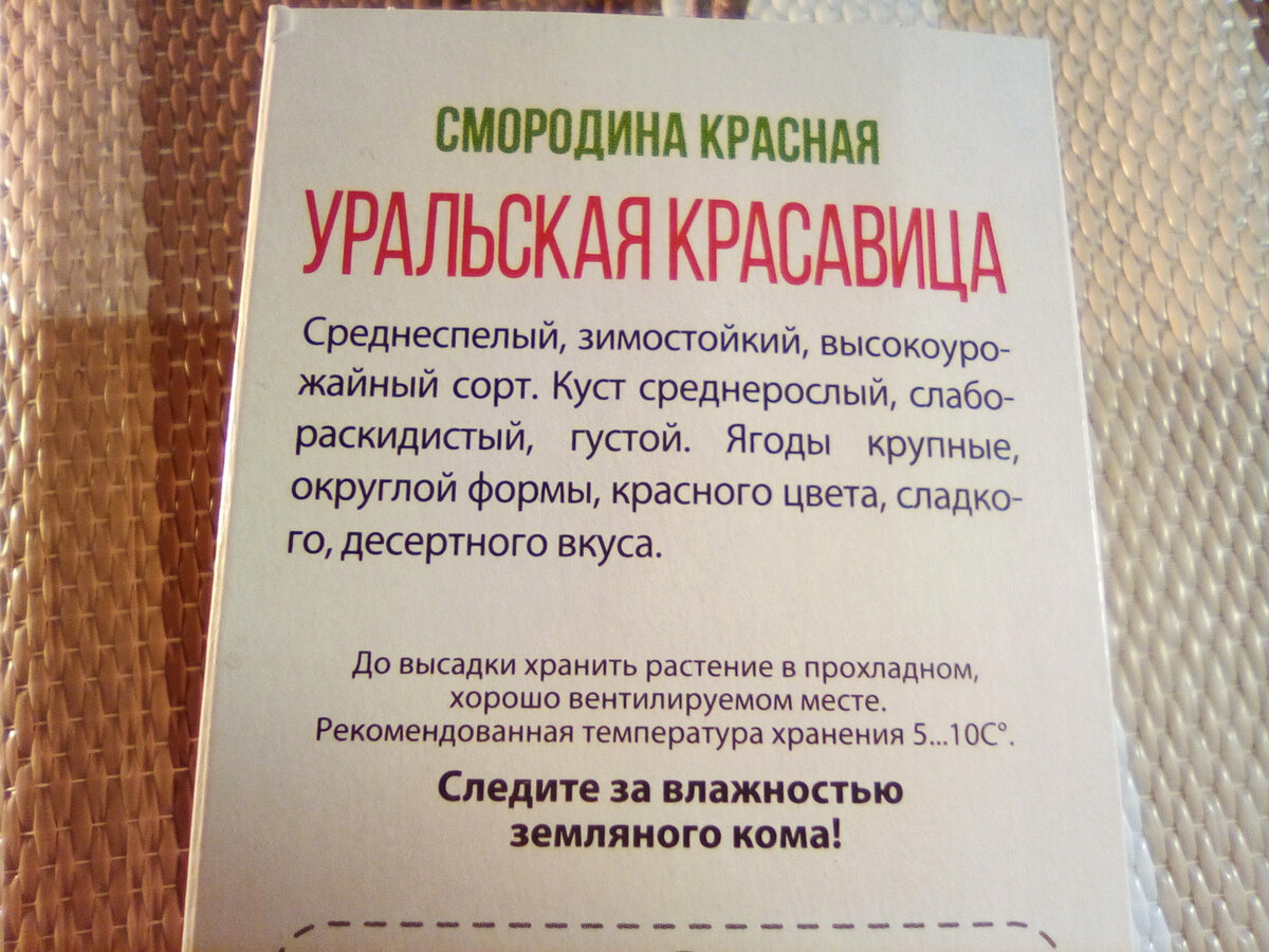 -2-2