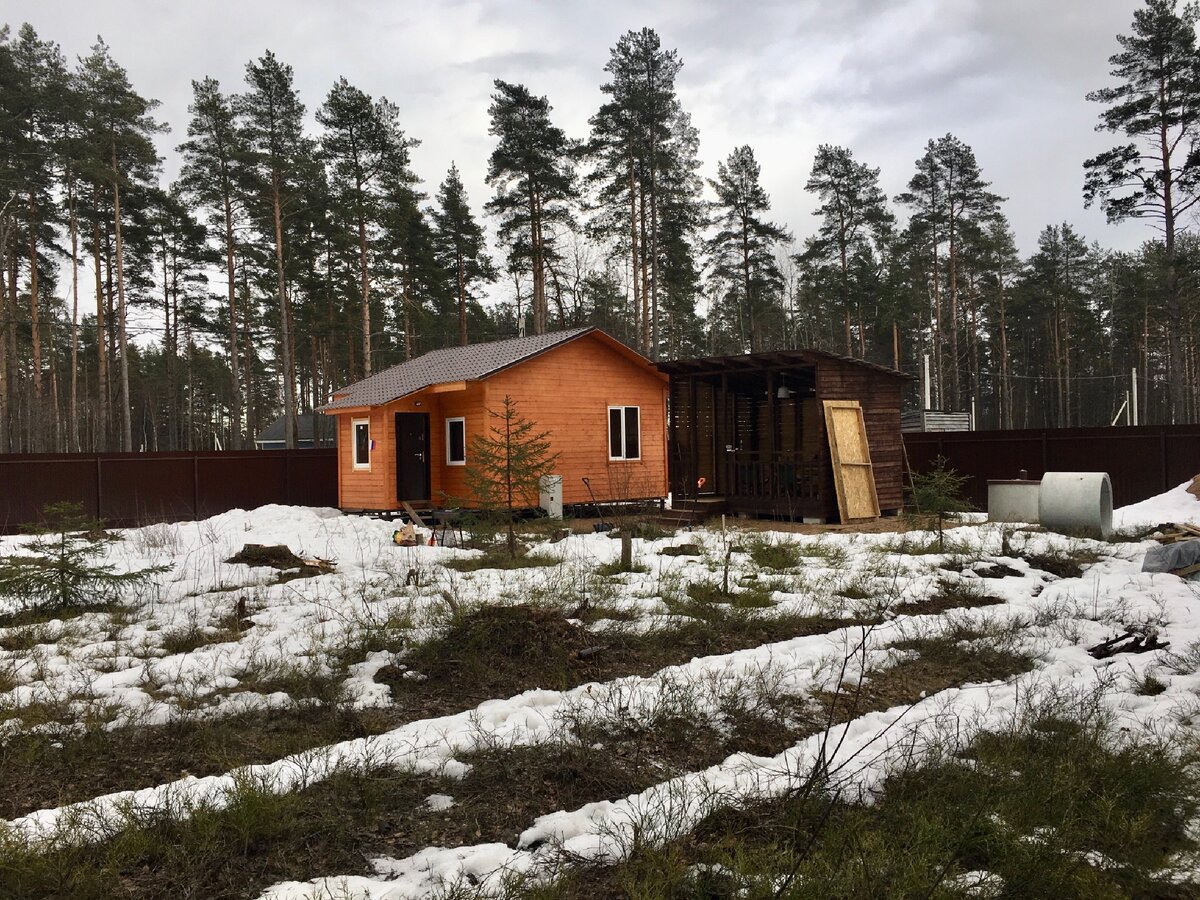 Почва - песок. В прошлом году наивно представлял, как загоню на участок трактор и устрою сорнякам с пеньками армагеддон. За зиму поумнел. Не хочется жить в пустыне. Пока сделаем въезд на участок, пока замостим место под мангал плиткой - много воды утечет.