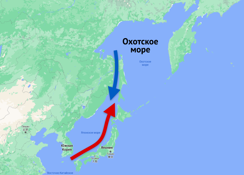 Океан омывающий владивосток. Теплое течение в японском море. Карта течений японского моря. Цусимское течение в Приморье. Морские течения японского моря.