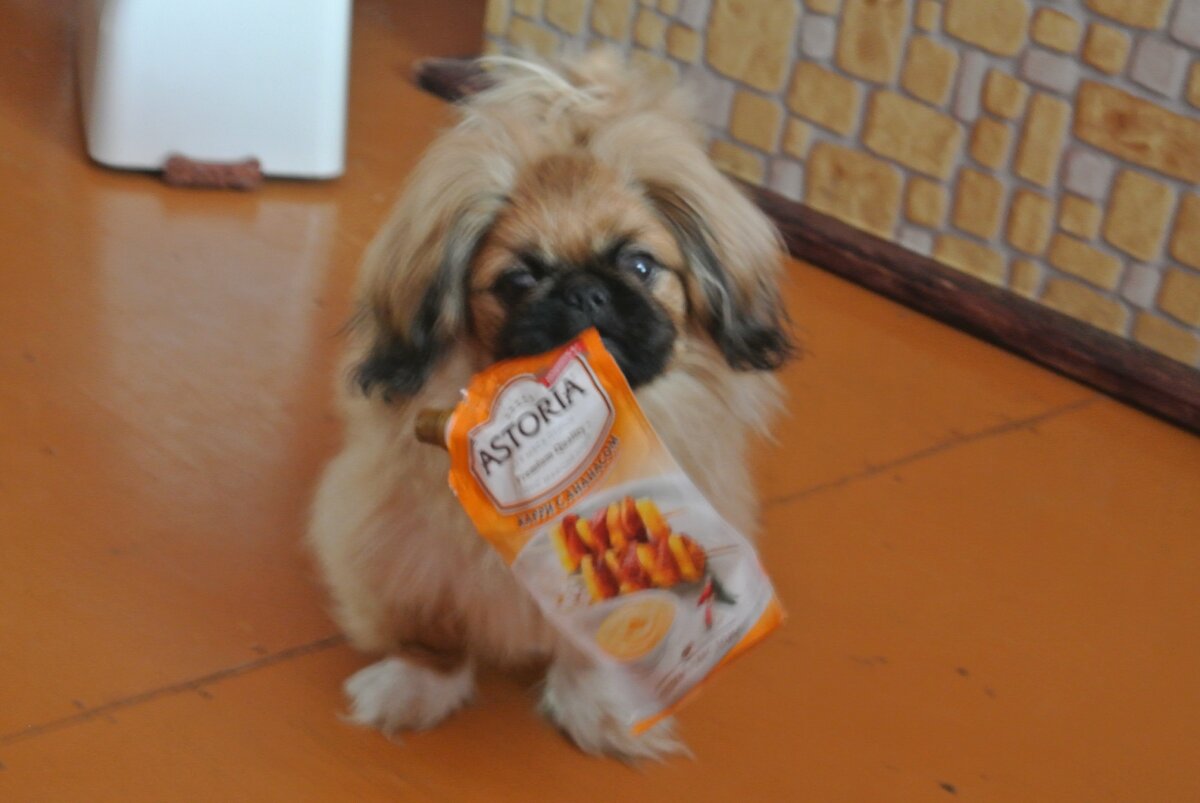 Немного не в резкости, но старый пол и характер Нюши видны.