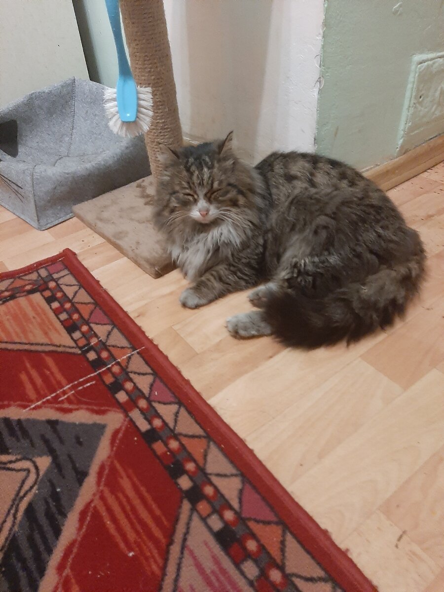 Бусик потеряшка-находка.