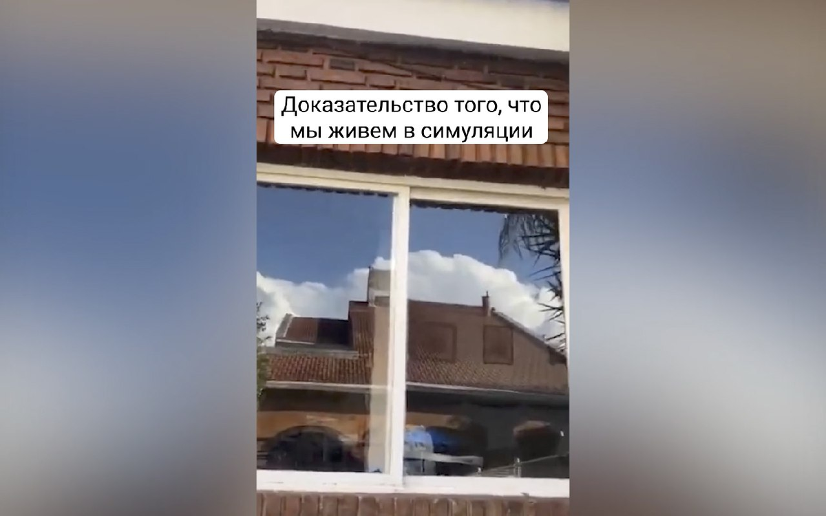 Кадры из видео © TikTok / catarroseco 