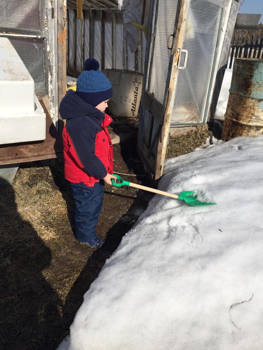 Мой помощник Марк. 