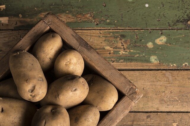 3 простых шага: Как я вырастил картофель больше чем у соседа