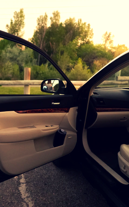 скрип ограничителя двери