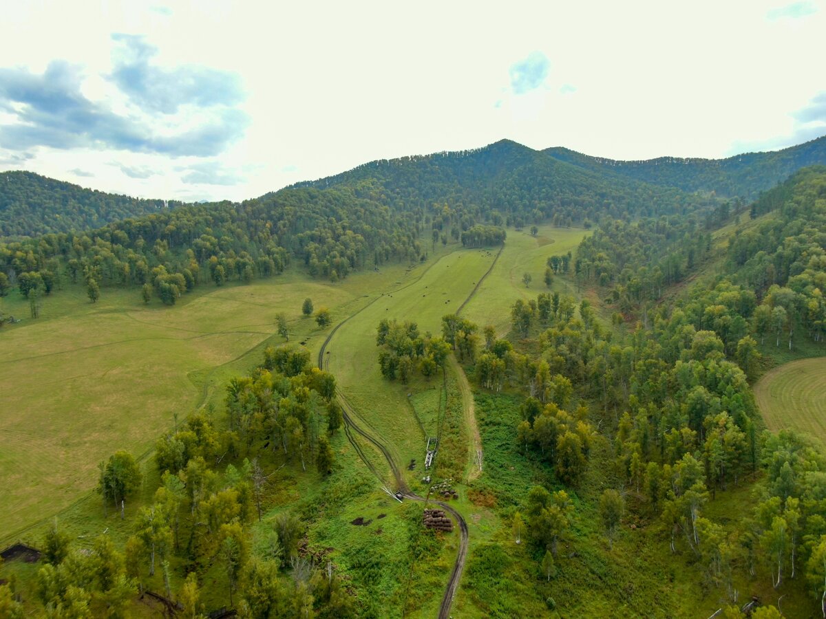 Вид на территорию зубрятника с высоты птичьего полёта.