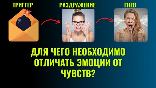 Эффективная личность|Умение отличать чувства от эмоций