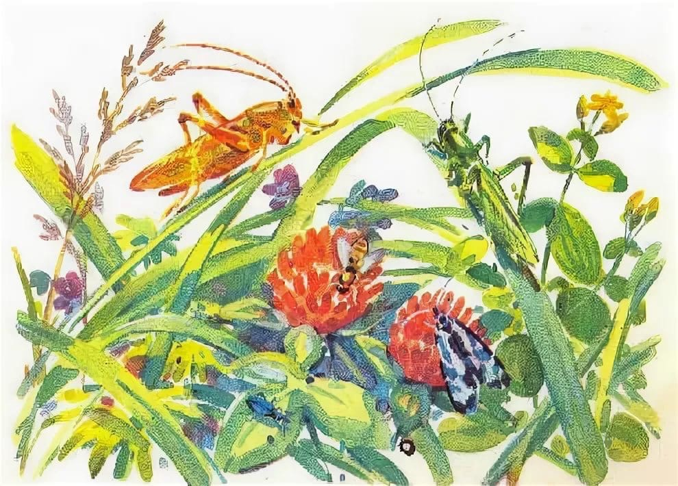 Листовидный кузнечик. Что помогает кузнечику защищаться на лугу. Кузнечик в траве рисунок. Кузнечик луговой. Рассказ о кузнечике.