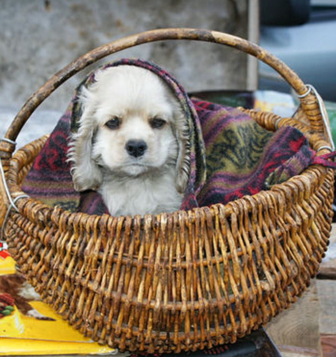 Фото из моего рабочего архива.