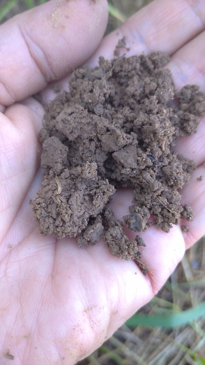 ЛИЧНОЕ ФОТО.