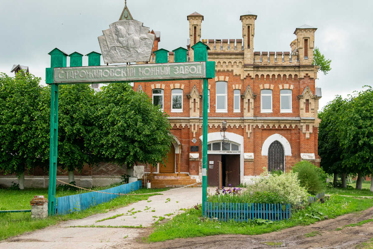 Старожиловский конный завод фото