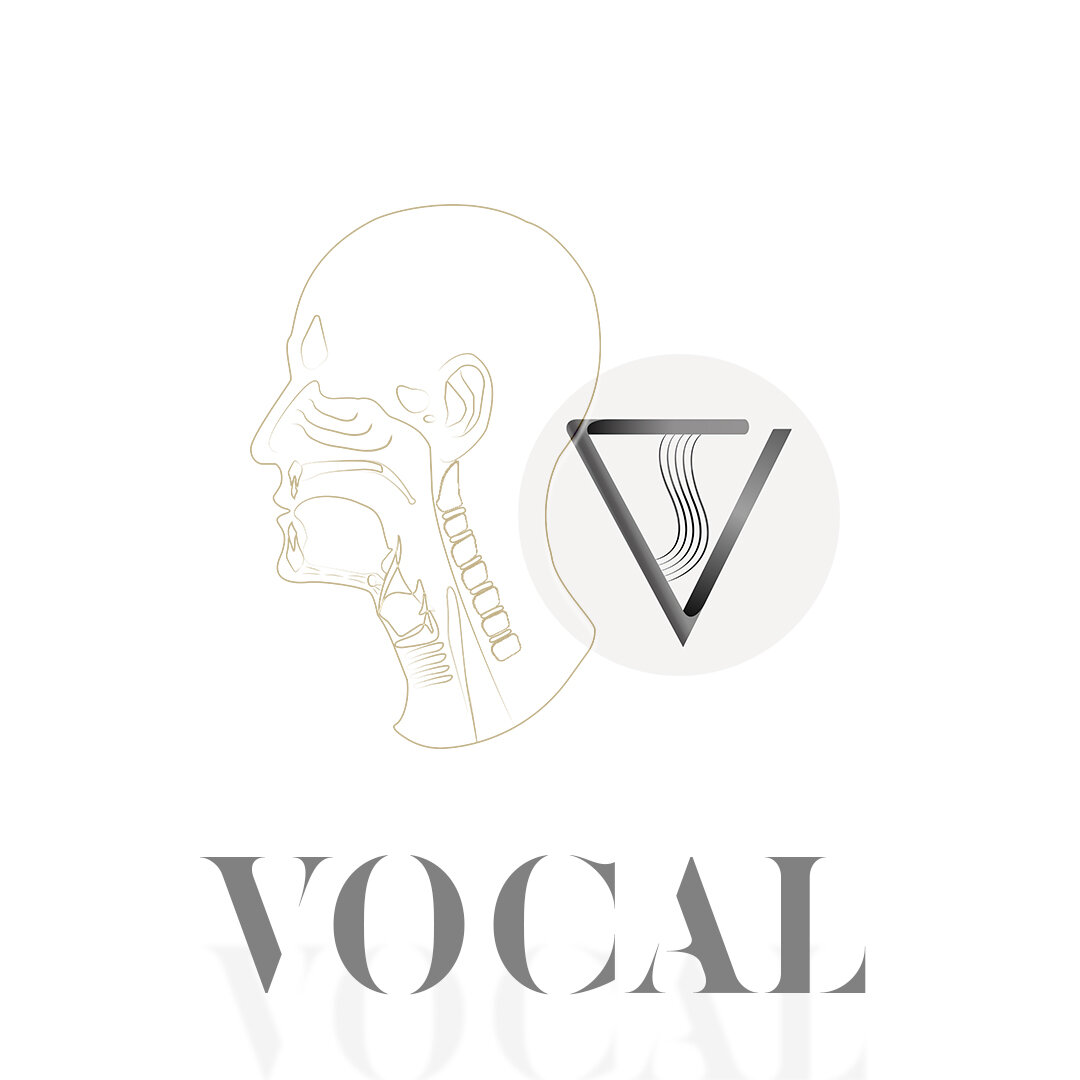 Vocal FRY VoiceTechшкола вокала/речи Дзен