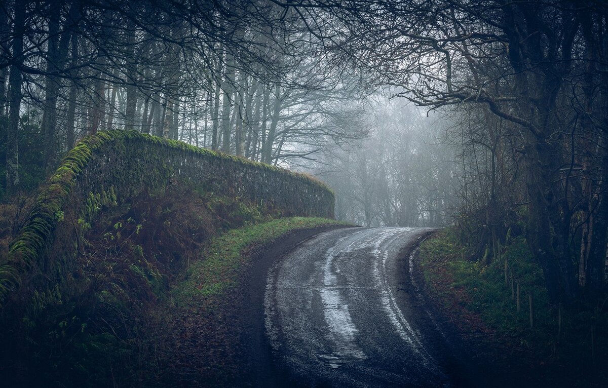 Фото из открытых источников.