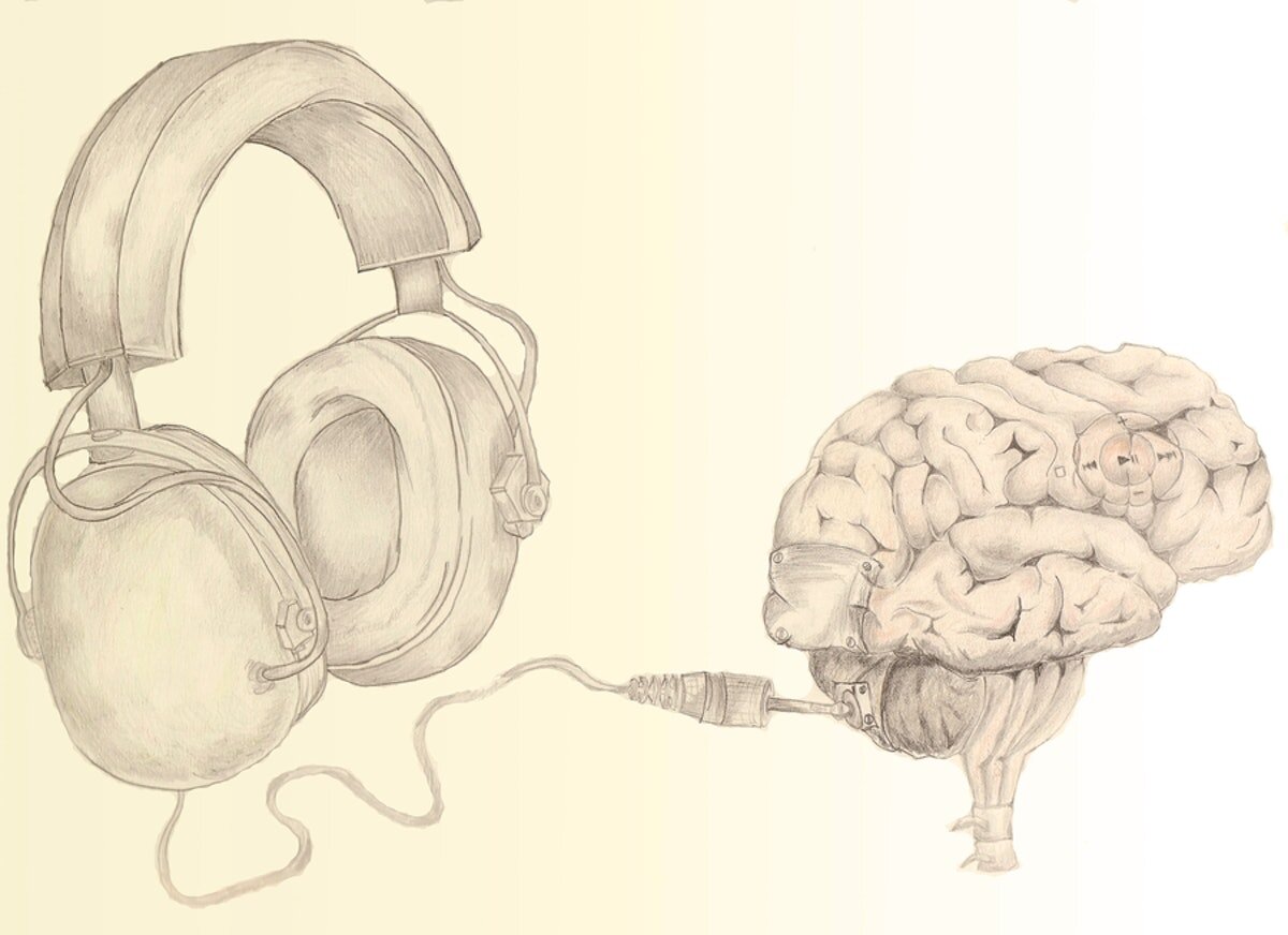 Влияние музыки на мозг является особенно сильным.