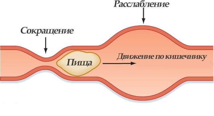 Атония кишечника