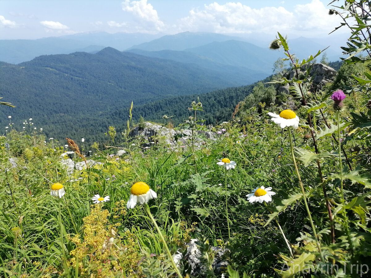 Вид со смотровой площадки №5 (см. ниже)