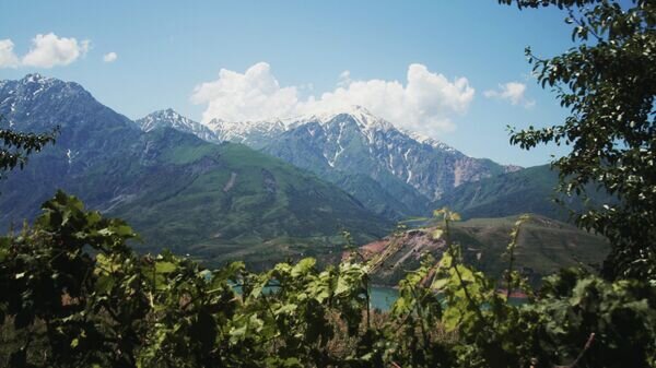   © unsplash.com/Artem Bryzgalov