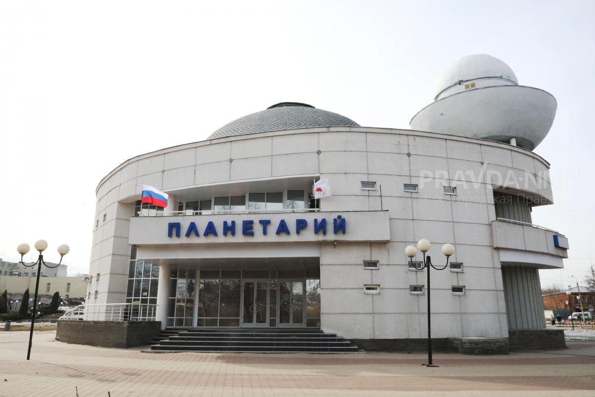    До 24 ноября ищут подрядчика Анастасия Красушкина
