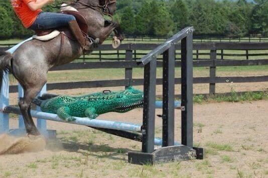 Очень страшный крокодил!