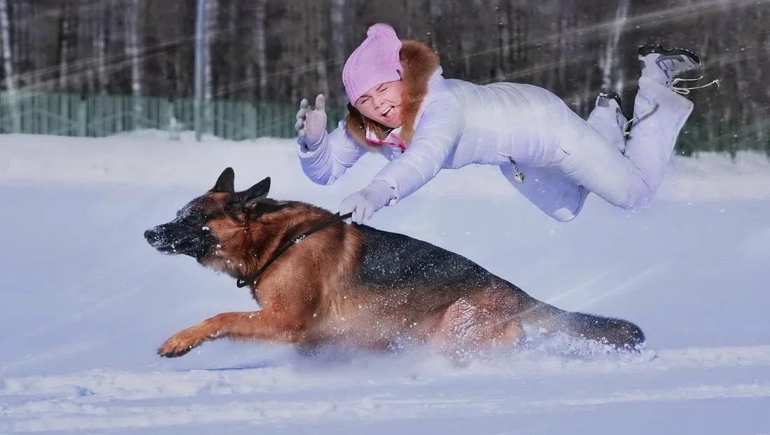Фото с просторов.