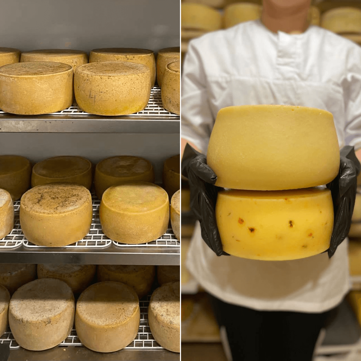 Полутвердый сыр качотта в камере созревания.