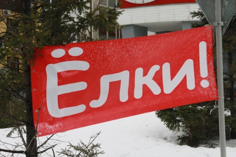     Лучше всего покупать новогоднее дерево с одной макушкой Олег УКЛАДОВ