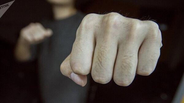   © Sputnik / Табылды Кадырбеков