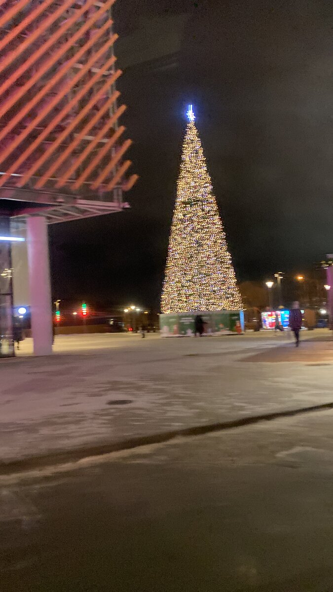 Это я из машины сфотографировала, на обратном пути, на ходу.