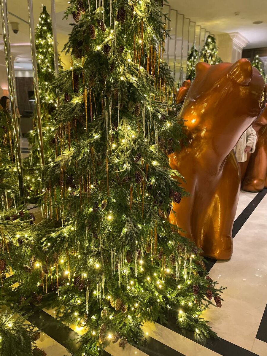 Личное фото