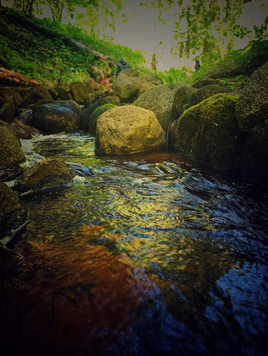 Автор фото: Надежда Савинова