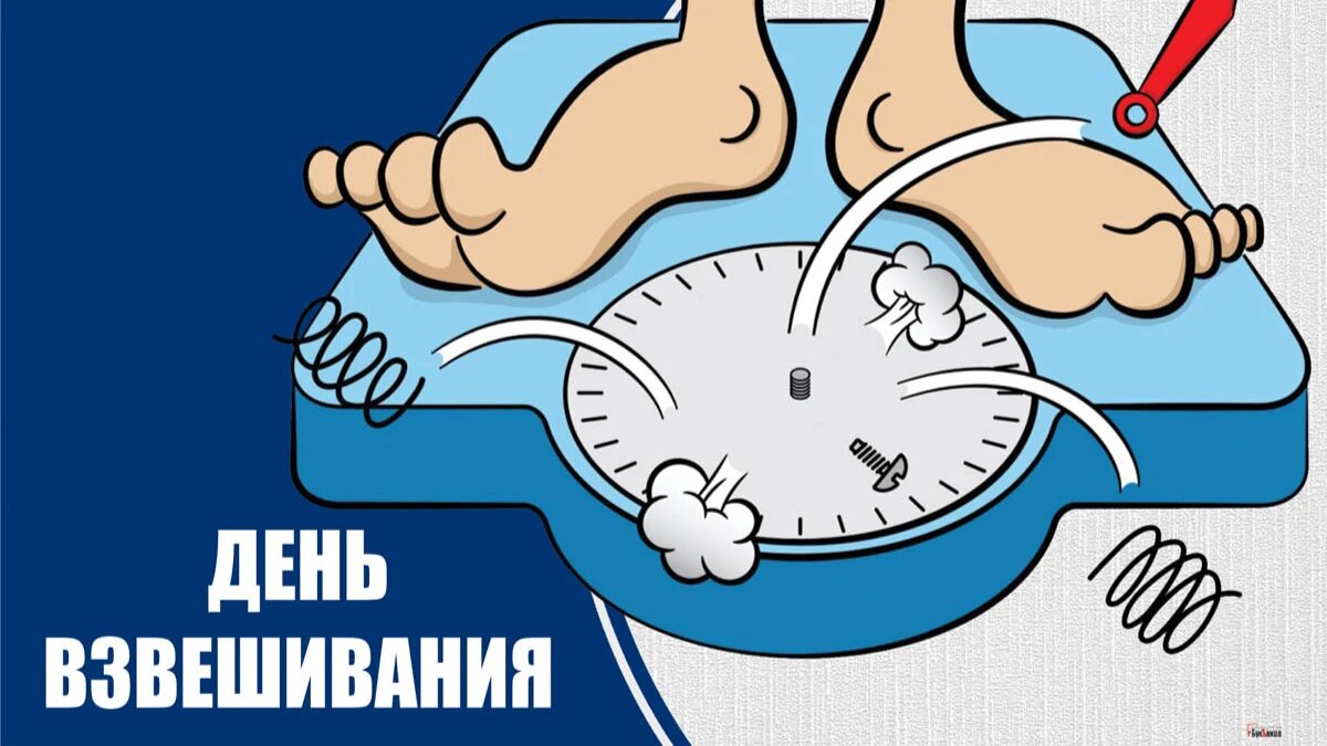 День взвешивания. Иллюстрация: «Весь Искитим»