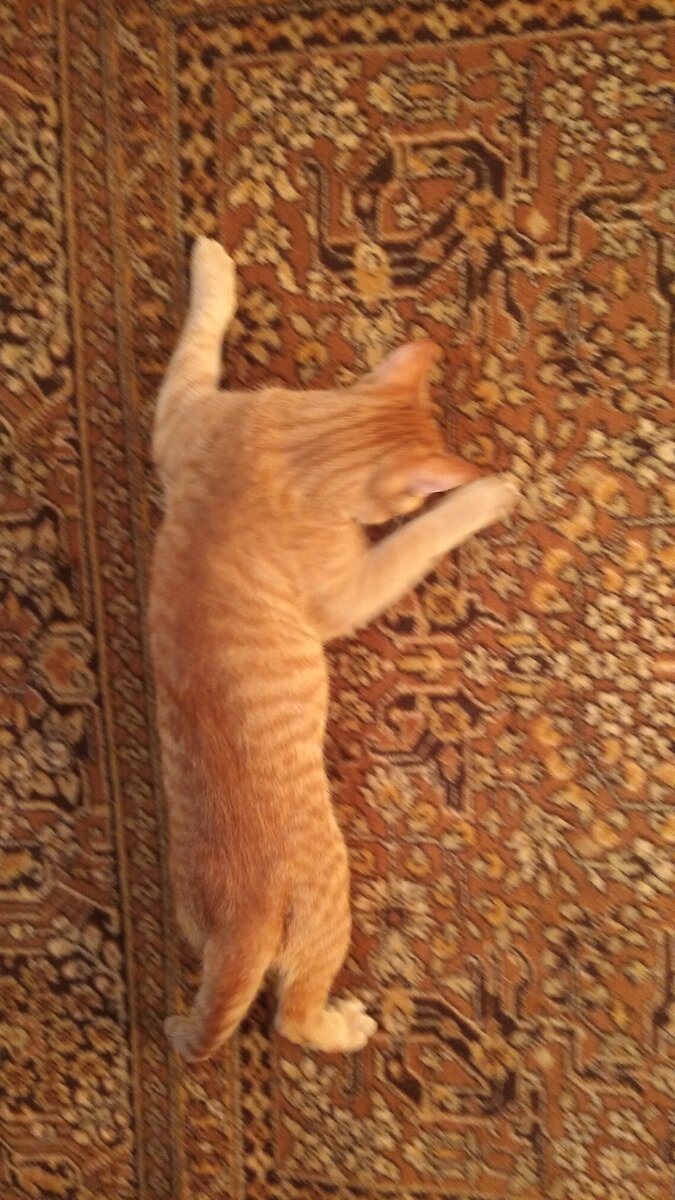 Личное  фото.