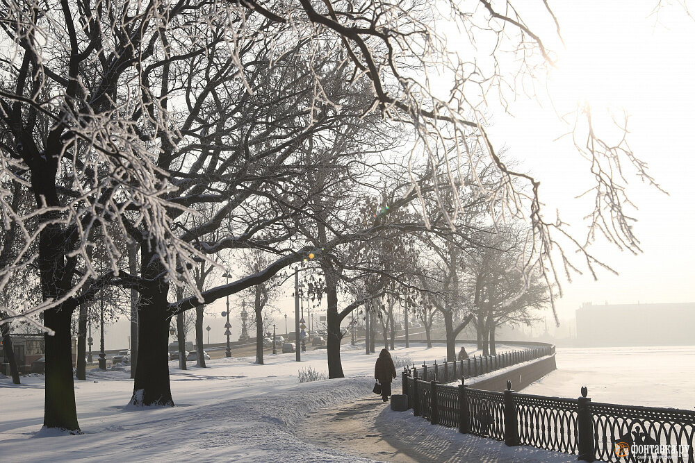   
 Фото: Сергей Михайличенко/«Фонтанка.ру»